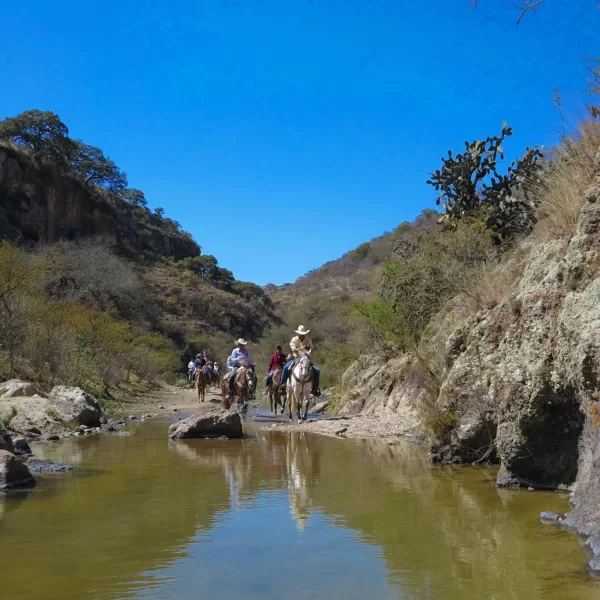 Excursión en Cabalgata de Medio Día por el Cañón Coyote en San Miguel de Allende